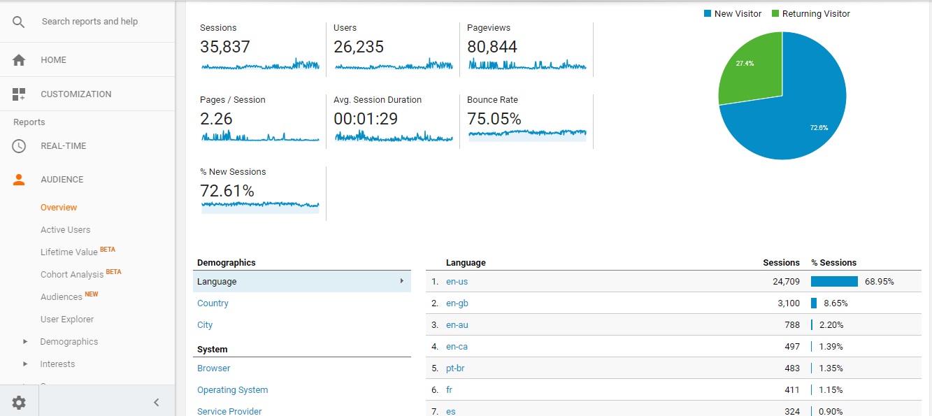 Visitor Analysis Report